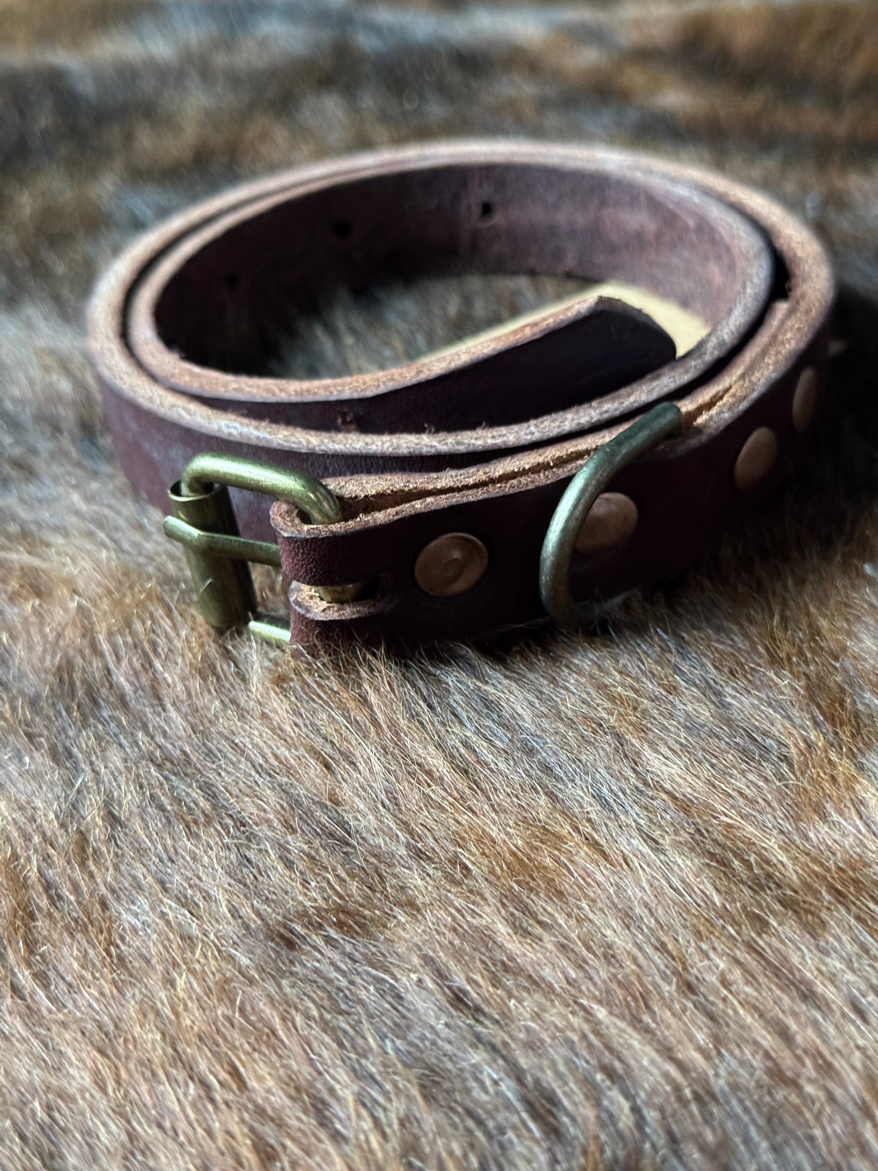 3/4" Wide Dog Collar